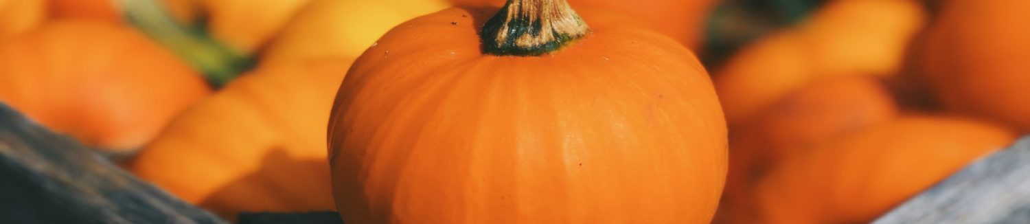 Pumpkins by Aaron Burden